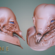Illustration for article titled Help Update David Lynchs Dune